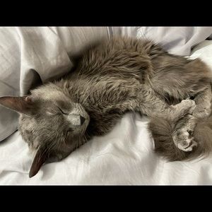 Meet your Posher, Karla